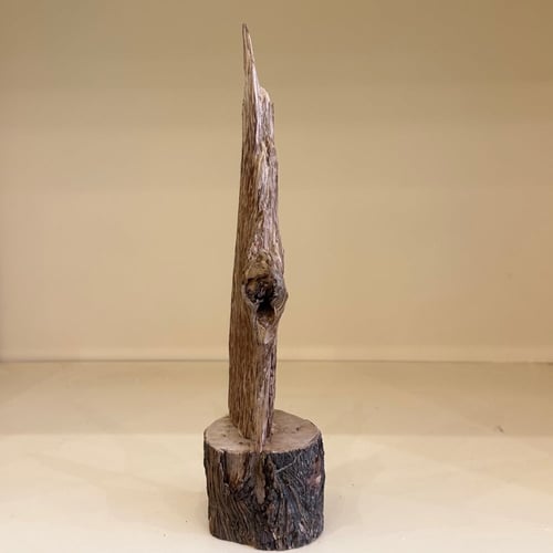 ديكور عود طبيعي 27 سم