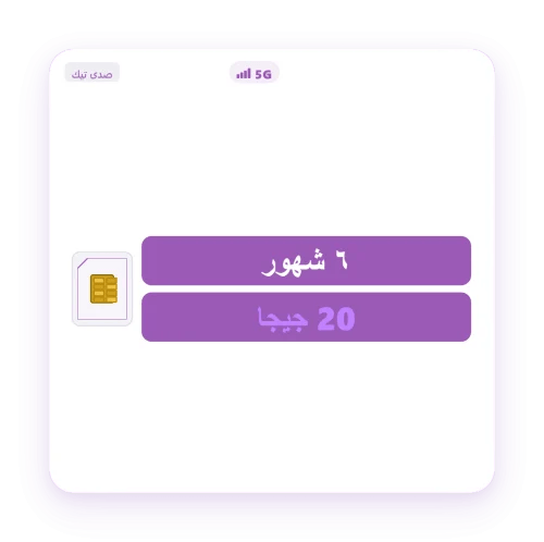 Quick Net 20 GB 6 months stc