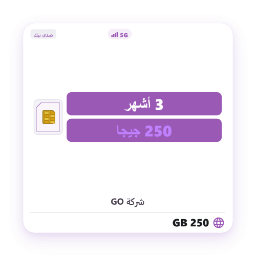 Quick Net 250 GB 3 months STC