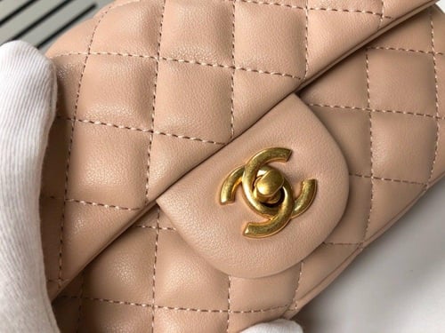 Chanel Classic Flap Bag -Pink