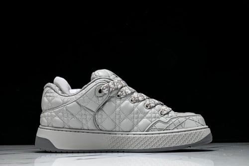 Dior x ERL B9S Skater grey