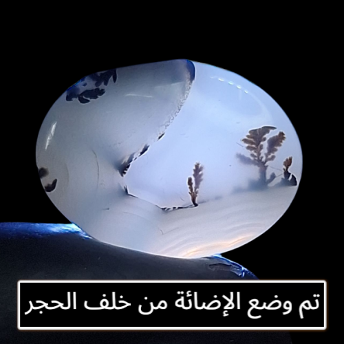 حجر عقيق شجري طبيعي