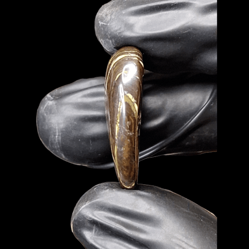 حجر ايرون تايغر بعروق ذهبية متموجة