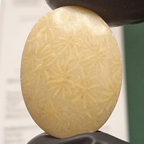 حجر عقيق مشجر طبيعي مفحوص بشهادة مختبر