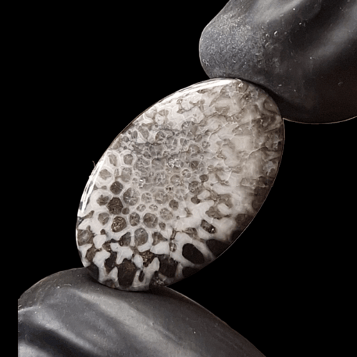 حجر فوسيل احفوري طبيعي