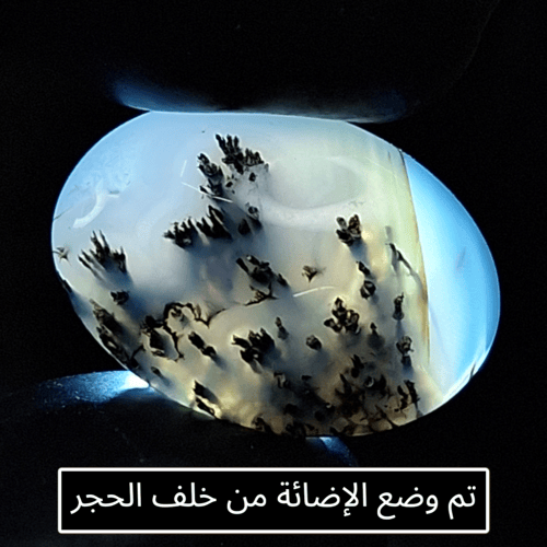 حجر عقيق شجري طبيعي