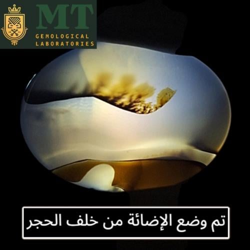 حجر عقيق شجري مشجر طبيعي مفحوص بشهادة مختبر