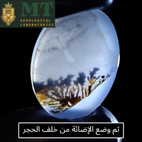 حجر عقيق شجري طبيعي مفحوص و موثق بشهادة مختبر