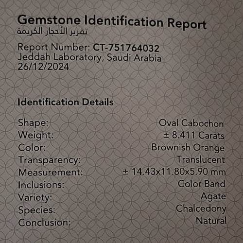 حجر عقيق طبيعي مصور طير على الغصن مفحوص بشهادة مخت...