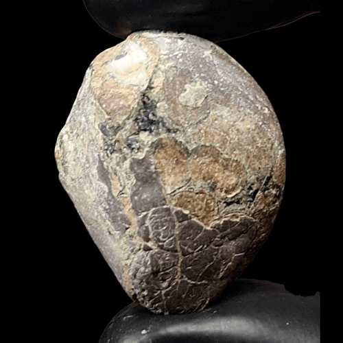 حجر عقيق داؤدي خام تحفة للاقتناء او الاهداء