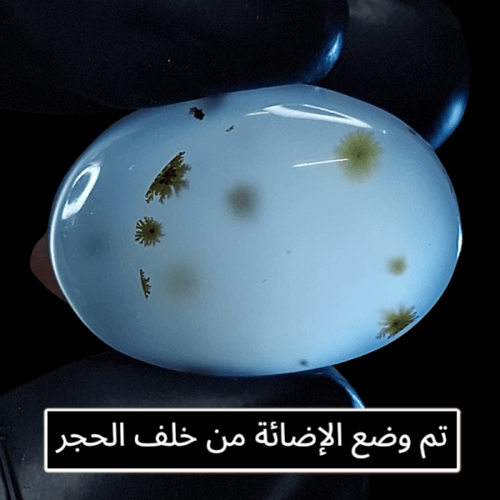 حجر عقيق شجري طبيعي حجم راهي