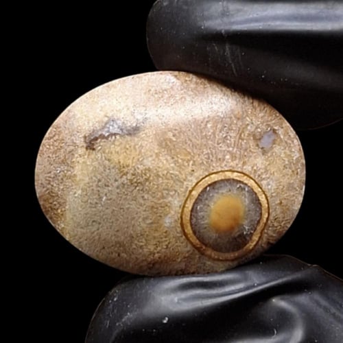 حجر عقيق داؤدي طبيعي مصور هيئة عينين