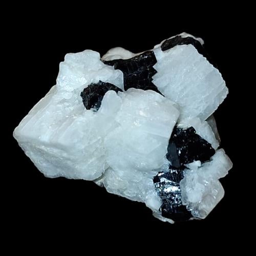 التورمالين الأسود خام مع الحاضن تحفة للإقتناء أو ا...