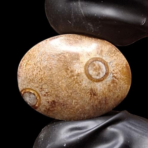 حجر عقيق داؤدي طبيعي مصور هيئة عينين