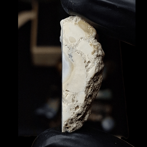 حجر اوبال شجري خام طبيعي تحفة للاقناء او الاهداء