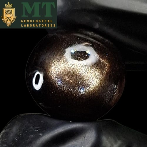 حجر الشمس الاسود الطبيعي مفحوص و موثق بشهادة مختبر