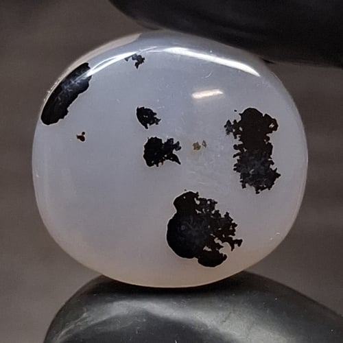 حجر عقيق شجري أبيض طبيعي مشجر