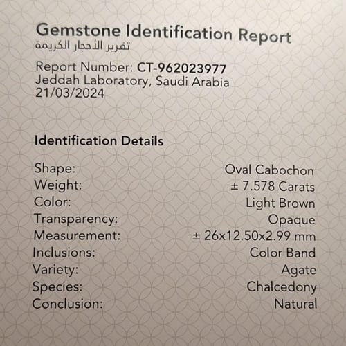 حجر عقيق مصور رأس زرافة طبيعي والحجر مفحوص بشهادة...