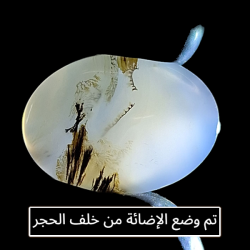 حجر عقيق شجري طبيعي