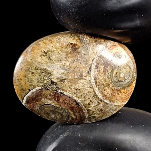 حجر عقيق داؤدي هيئة عينين طبيعي