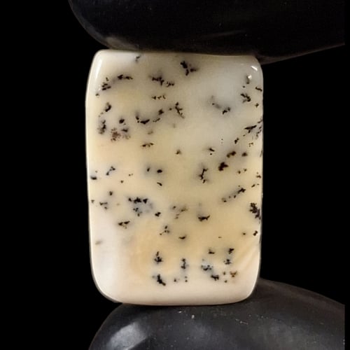 حجر اوبال شجري طبيعي