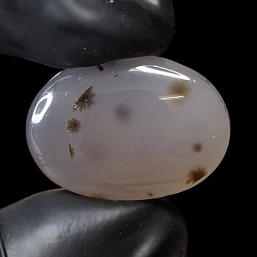 حجر عقيق شجري طبيعي حجم راهي