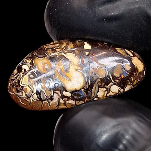 حجر بولدر اوبال استرالي طبيعي مصور مفحوص بشهادة مخ...