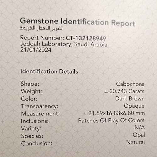 حجر البولدر اوبال طبيعي مصور بشهادة مختبر