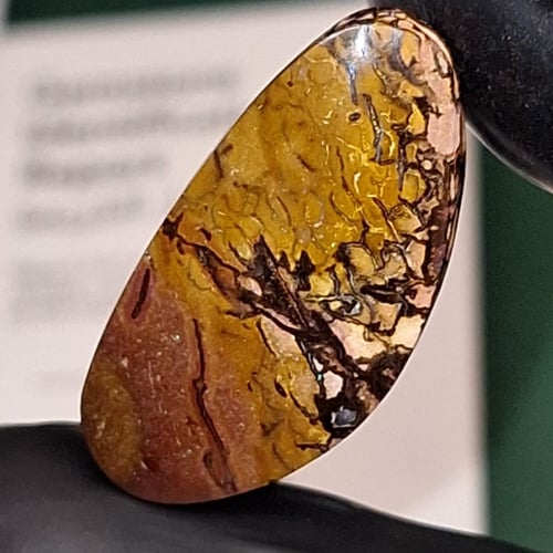 حجر بولدر اوبال استرالي طبيعي مصور مفحوص بشهادة مخ...