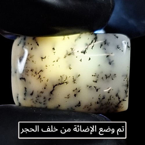 حجر اوبال شجري طبيعي