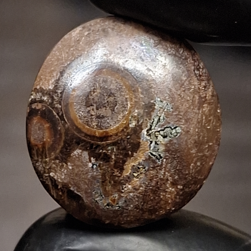 حجر عقيق داؤدي طبيعي هيئة عين