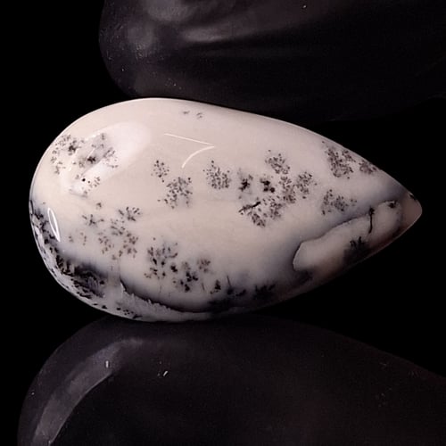 حجر اوبال شجري طبيعي