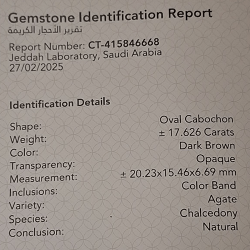 حجر عقيق داؤدي مصور مثل دايناصور ذو الرقبة الطويلة...