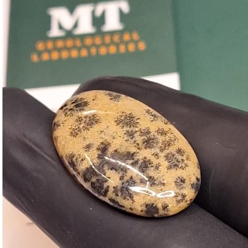 حجر عقيق مشجر طبيعي بشهادة مختبر