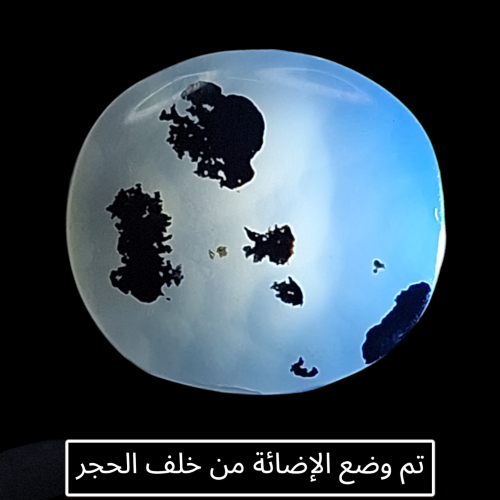 حجر عقيق شجري أبيض طبيعي مشجر