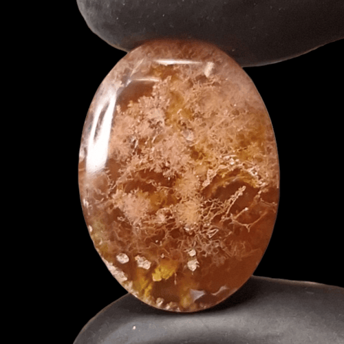 حجر عقيق طحلبي مشجر احمر