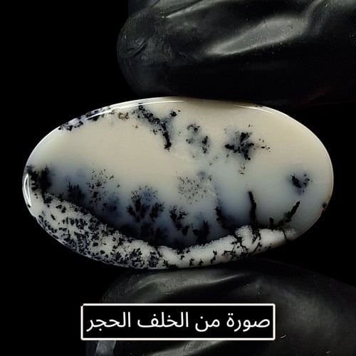 حجر اوبال شجري طبيعي