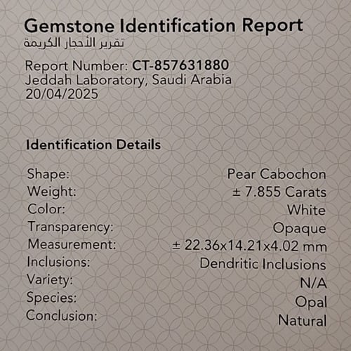 حجر اوبال مشجر طبيعي مفحوص و موثق بشهادة مختبر