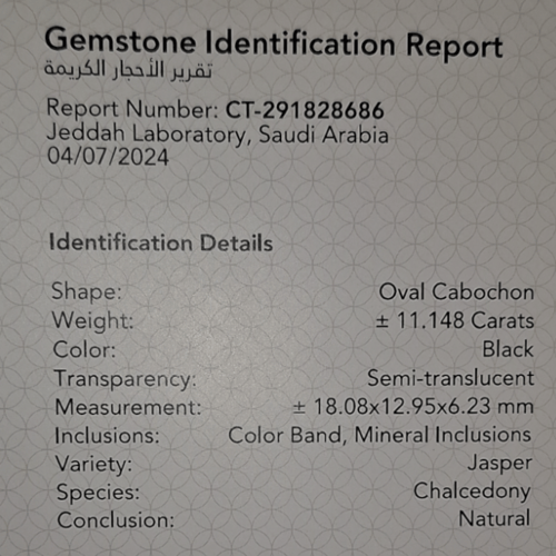 حجر جاسبر مصور طبيعي مفحوص و موثق بشهادة مختبر