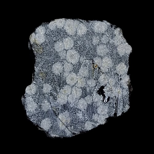 حجر خام سنو فليك اوبسيديان نتفة الثلج طبيعي