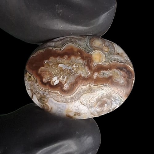 حجر عقيق داؤدي مصور مثل دايناصور ذو الرقبة الطويلة...