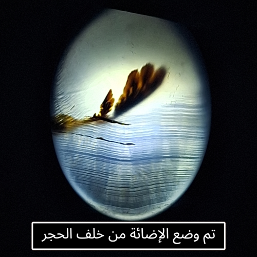 حجر عقيق شجري طبيعي