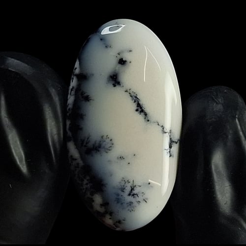 حجر اوبال شجري طبيعي