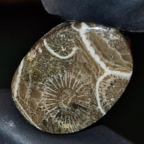 حجر عقيق طبيعي العقيق الأحفوري مفحوص و موثق بشهادة...