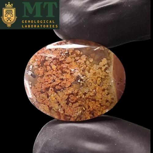 حجر عقيق طحلبي طبيعي مفحوص و موثق بشهادة مختبر