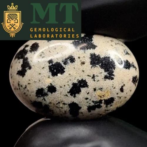 حجر عقيق مشجر طبيعي موثق ومفحوص بشهادة مختبر