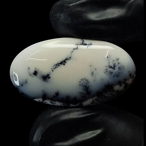 حجر اوبال شجري طبيعي