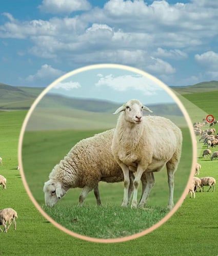 تلسكوب للتصوير بالجوال باحترافية عالية