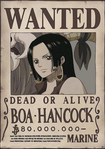 WANTED - A4 (12)