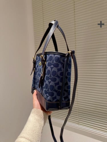 Coach mini bag